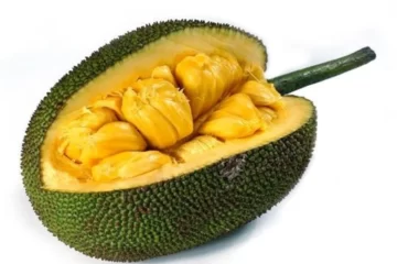 The Health Benefits Of Jackfruit Are Incredible