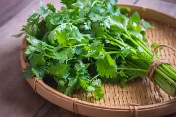 You Should Know 11 Surprising Health Benefits Of Coriander